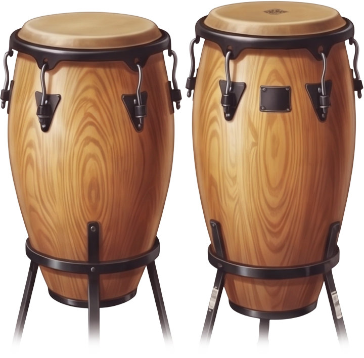 Congas